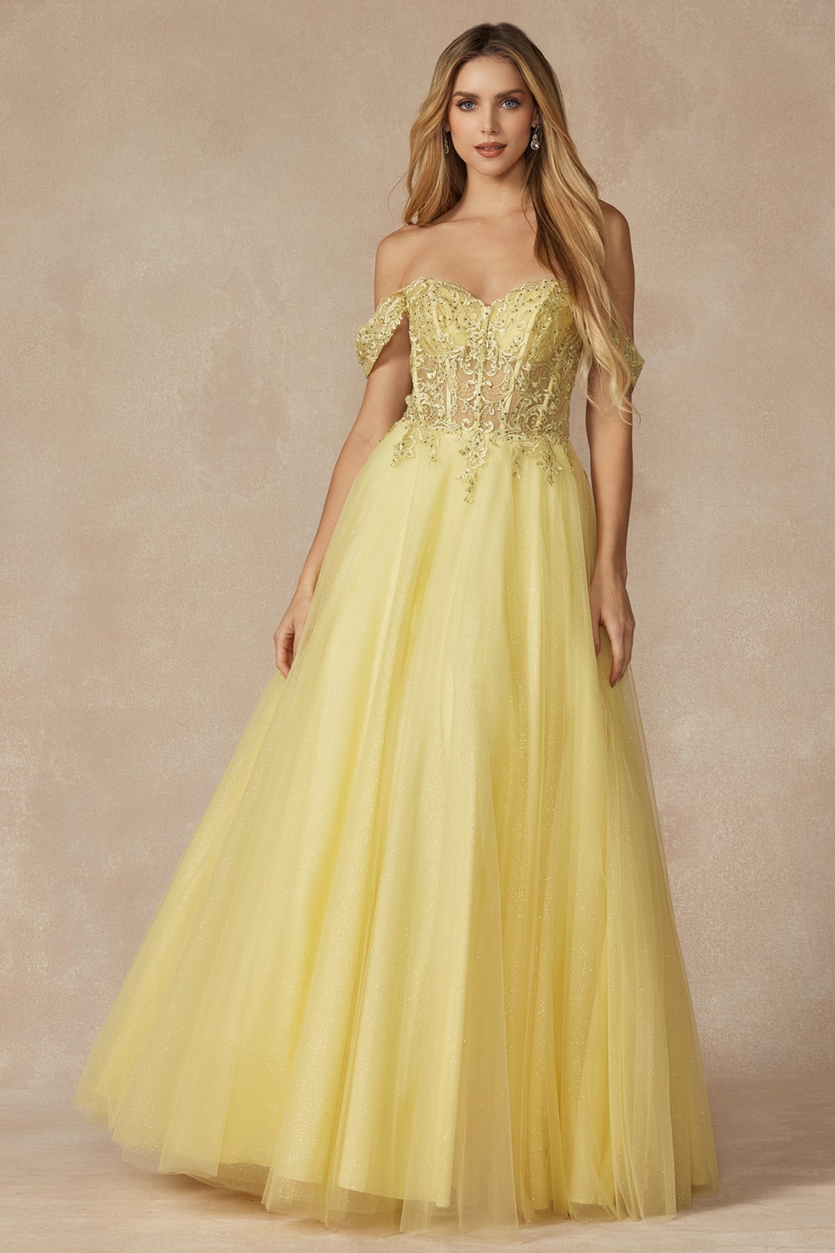 Embroidered Bodice Sweetheart Off or On Shoulder Long Prom Dress JT280_3