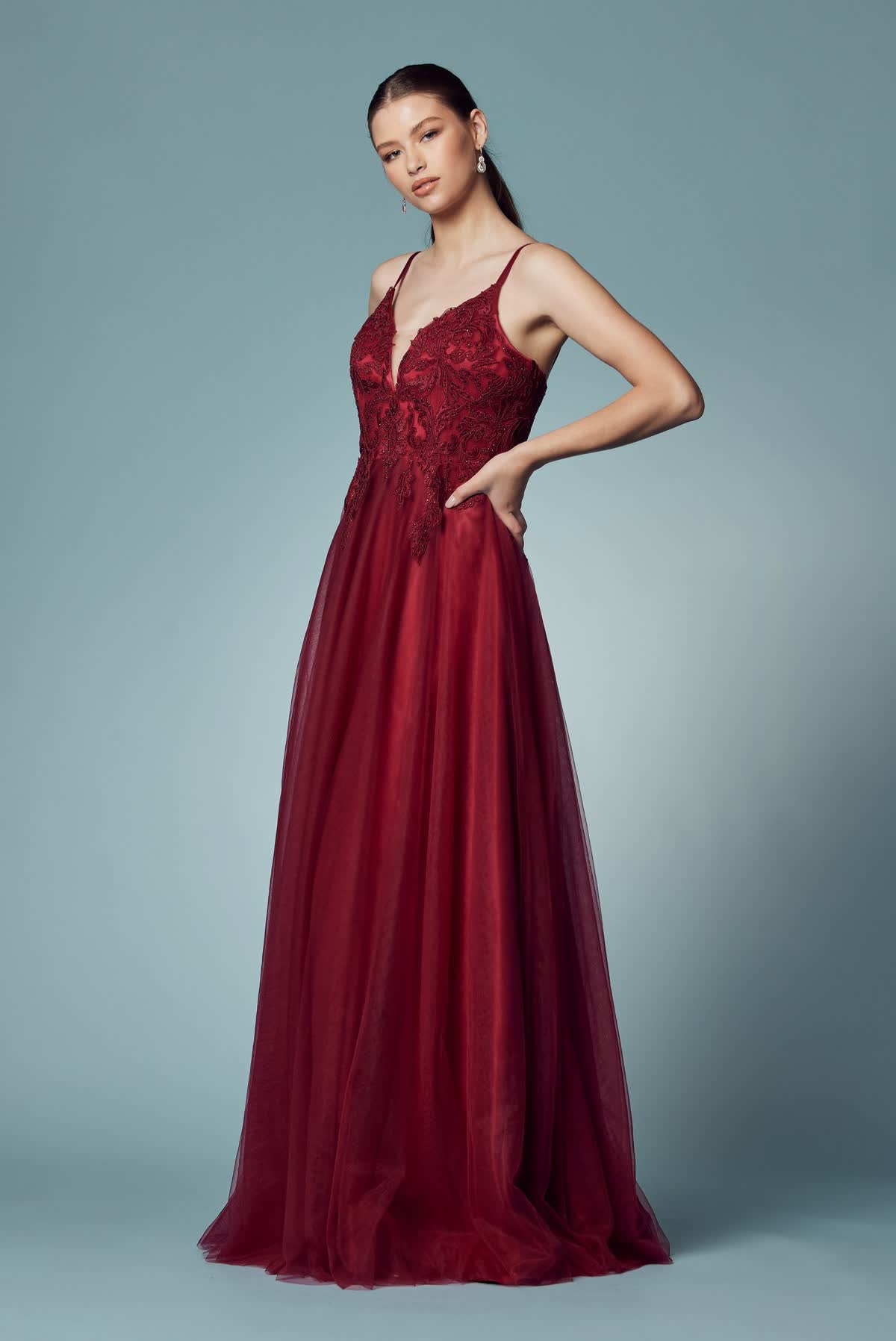 Embroidered Bodice Long Prom & Bridesmaid Dress NXR357_1