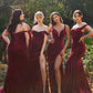 Deep V-Neck Velvet Fitted Plunging Bodice Long Prom & Bridesmaid Dress CDCD235_2