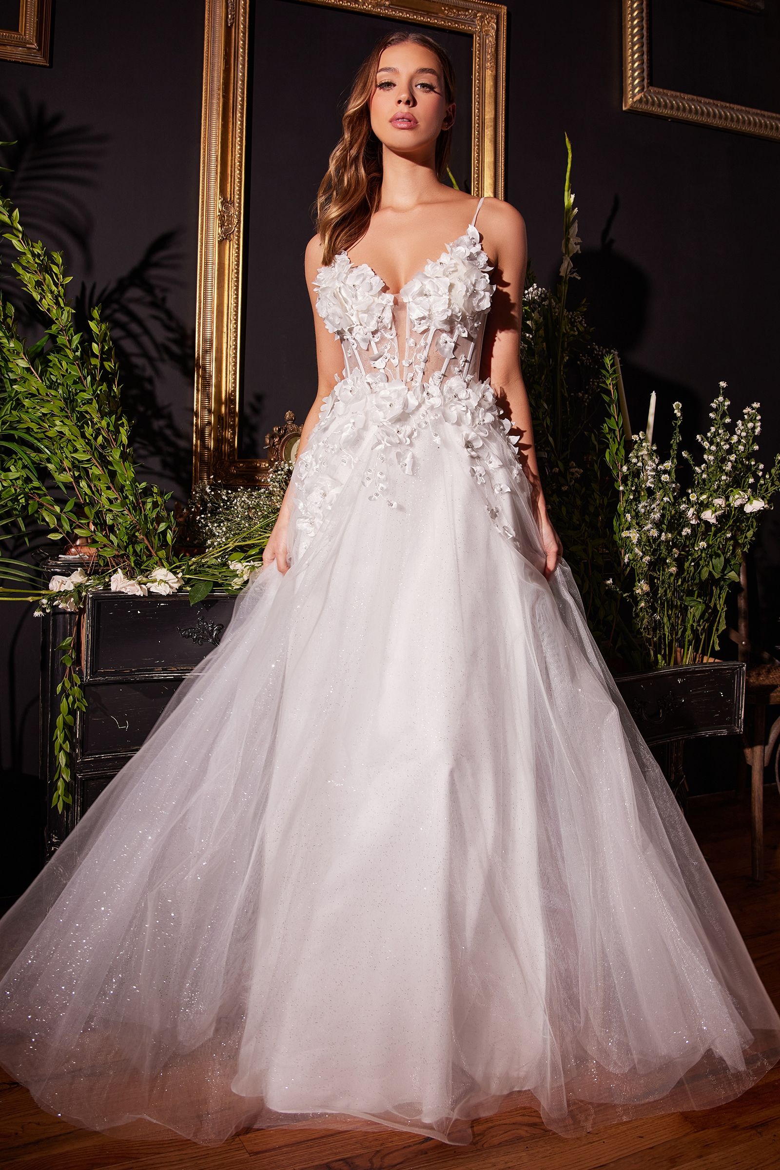 Floral Applique A-line Tulle Boned Bodice V-neck Open Back Long Bridal & Wedding Dress CDCM321W_0